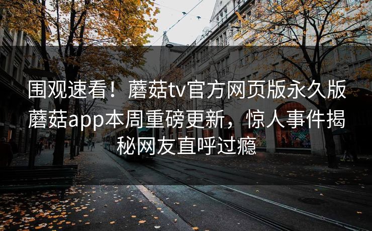 围观速看！蘑菇tv官方网页版永久版蘑菇app本周重磅更新，惊人事件揭秘网友直呼过瘾